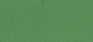 Echtleder Mali grün