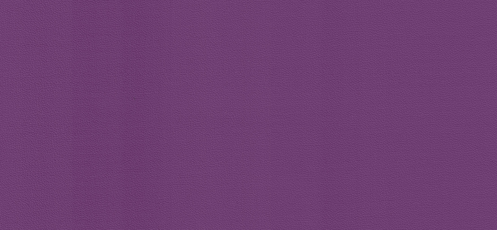 Cleanness purple