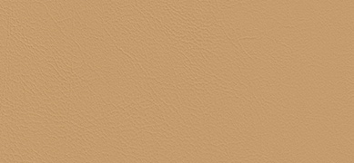 Cleanness Plus faux leather beige