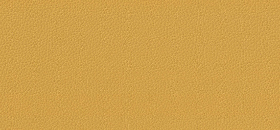 Imitation leather Stain-no yellow