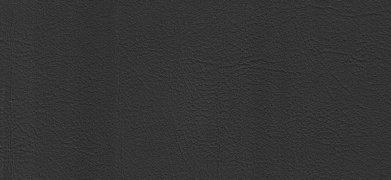 Cleanness Plus faux leather anthracite
