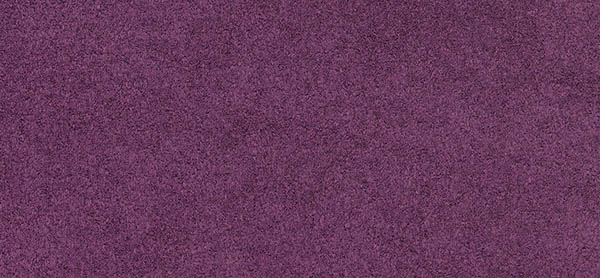 Comfort purple violet