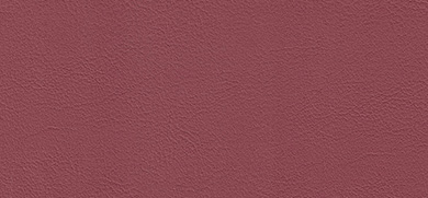 Cleanness Plus faux leather red