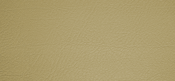 Faux leather bielastic beige