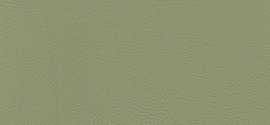 Cleanness Plus imitation leather green