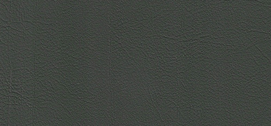 Cleanness Plus imitation leather green