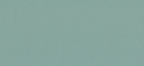 Imitation leather Stain-no green