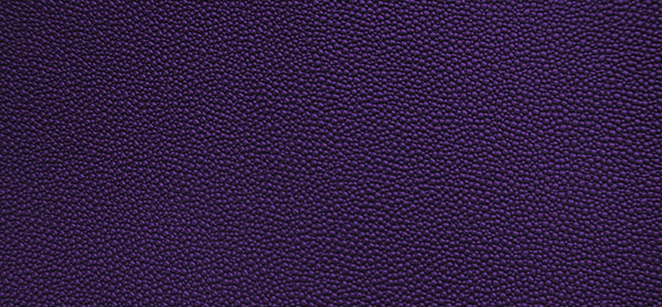 Stingray purple