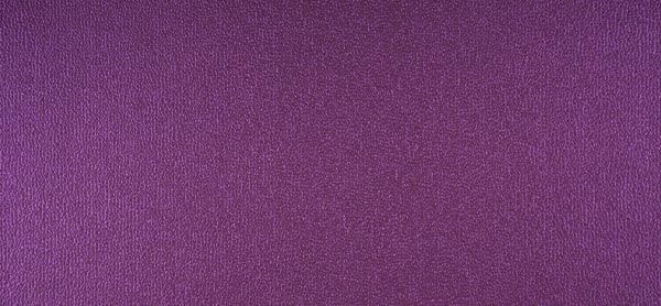 Allegra purple